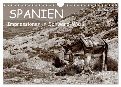 Spanien Impressionen in Schwarz-Weiß (Wandkalender 2024 DIN A4 quer), CALVENDO Monatskalender