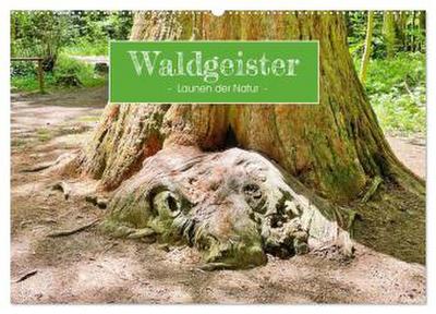 Waldgeister - Launen der Natur (Wandkalender 2026 DIN A2 quer), CALVENDO Monatskalender
