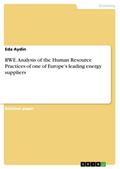 RWE. Analysis of the Human Resource Practices of one of Europe’s leading energy suppliers