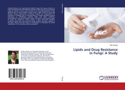 Lipids and Drug Resistance in Fungi: A Study