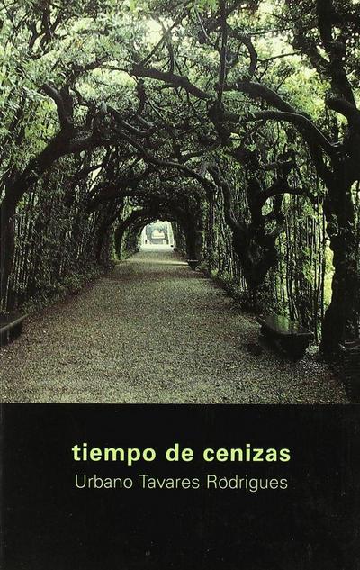 Tiempo de cenizas