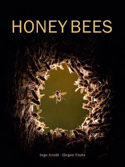 Honey Bees