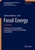 Fossil Energy