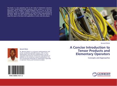A Concise Introduction to Tensor Products and Elementary Operators