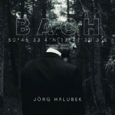 Bach:Organ Landscapes VIII (Steinberg,Geising), 2 Audio-CD