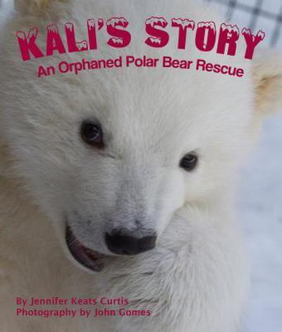 Kali’s Story: An Orphaned Polar Bear Rescue