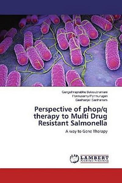 Perspective of phop/q therapy to Multi Drug Resistant Salmonella