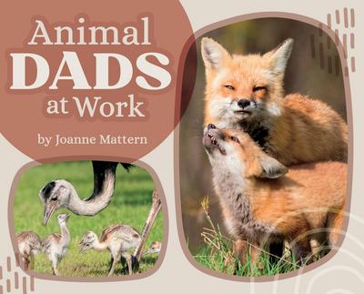 Animal Dads at Work
