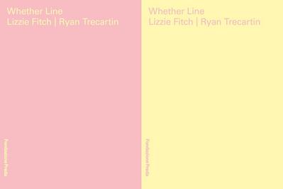 Lizzie Fitch & Ryan Trecartin: Whether Line