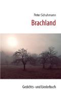 Brachland