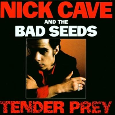 Tender Prey