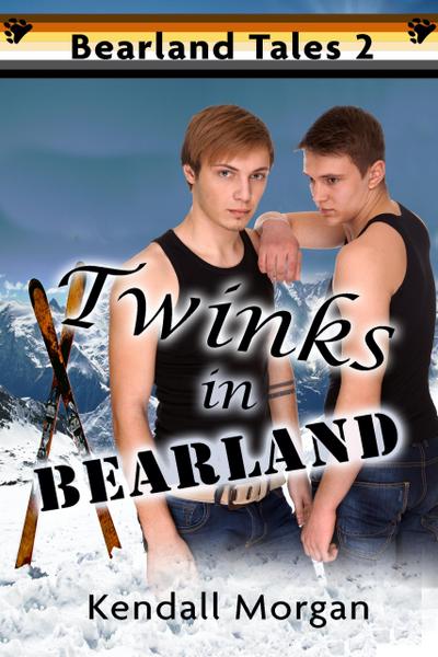 Twinks in Bearland (Bearland Tales, #2)