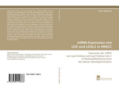 mRNA-Expression von LOX und LOXL2 in HNSCC
