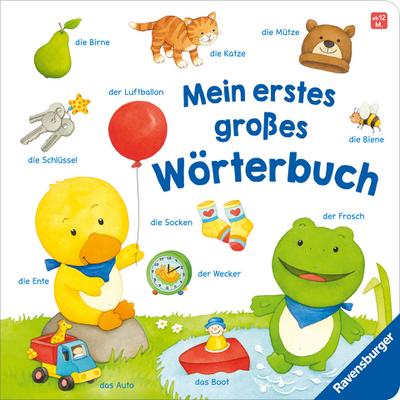 Mein erstes großes Wörterbuch