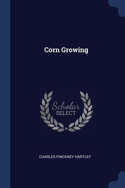 Corn Growing
