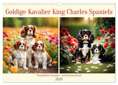 Goldige Kavalier King Charles Spaniels (Wandkalender 2026 DIN A3 quer), CALVENDO Monatskalender
