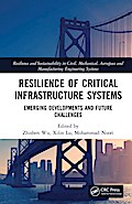 Resilience of Critical Infrastructure Systems