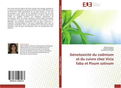 Génotoxicité du cadmium et du cuivre chez Vicia faba et Pisum sativum