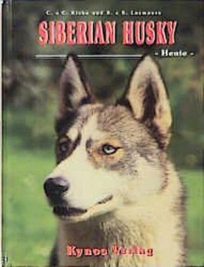 Siberian Husky - Heute