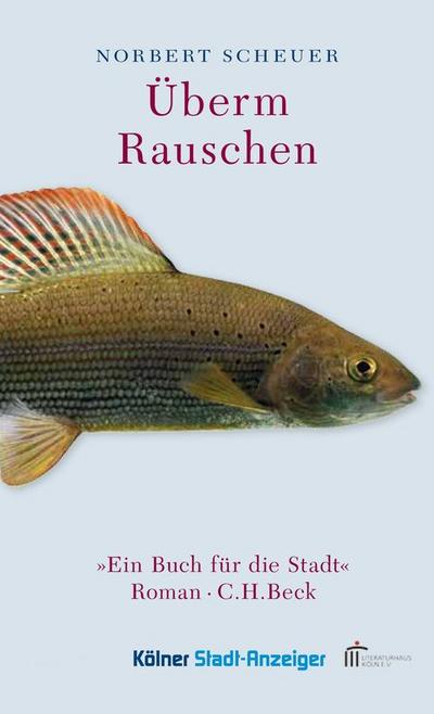 Überm Rauschen - Norbert Scheuer