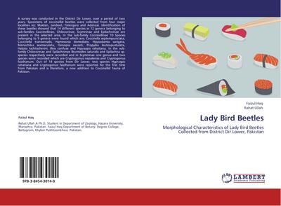Lady Bird Beetles
