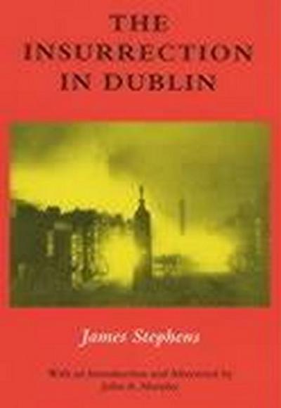 The Insurrection in Dublin