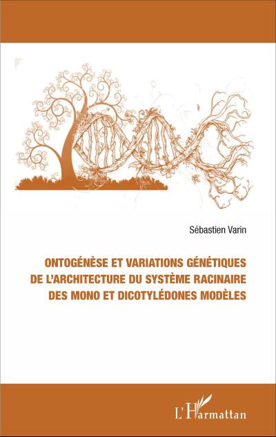 Ontogénèse et variations génétiques de l’architecture du système racinaire des mono et dicotylédones modèles