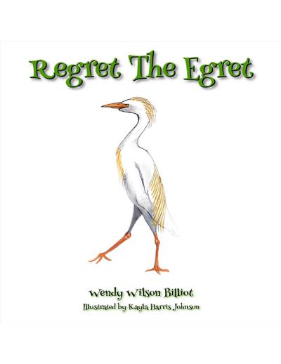 Regret the Egret