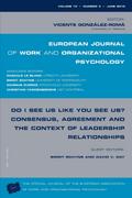 Do I See Us Like You See Us? Consensus, Agreement, and the Context of Leadership Relationships