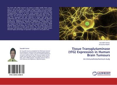 Tissue Transglutaminase (tTG) Expression in Human Brain Tumours