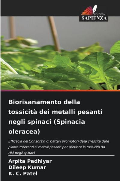 Biorisanamento della tossicità dei metalli pesanti negli spinaci (Spinacia oleracea)