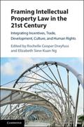Framing Intellectual Property Law in the 21st Century