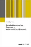 Sozialpädagogisches Coaching - Metamodell und Konzept