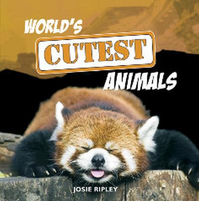 World’s Cutest Animals