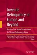 Juvenile Delinquency in Europe and Beyond