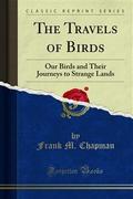 The Travels of Birds