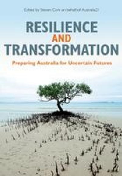 Resilience and Transformation