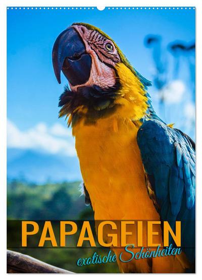 Papageien - exotische Schönheiten (Wandkalender 2024 DIN A2 hoch), CALVENDO Monatskalender