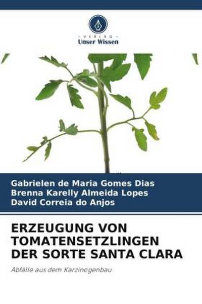 ERZEUGUNG VON TOMATENSETZLINGEN DER SORTE SANTA CLARA