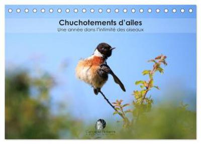Chuchotements d’ailes - Une année dans l’intimité des oiseaux (Calendrier de bureau 2026 DIN A5 vertical), CALVENDO calendrier mensuel