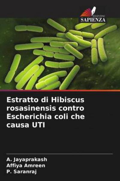 Estratto di Hibiscus rosasinensis contro Escherichia coli che causa UTI