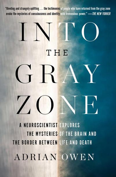 Into the Gray Zone