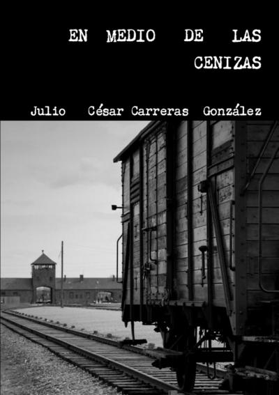 EN  MEDIO   DE LAS CENIZAS (NOVELA)