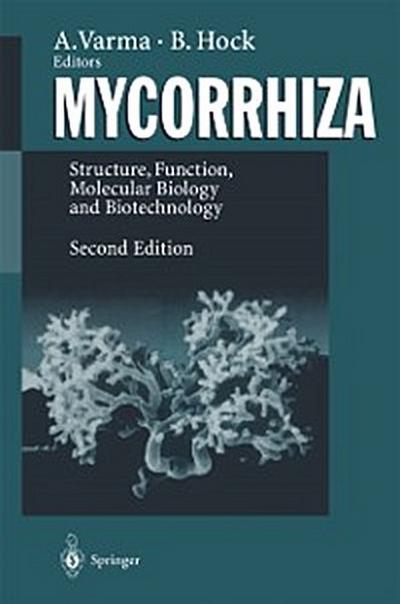 Mycorrhiza