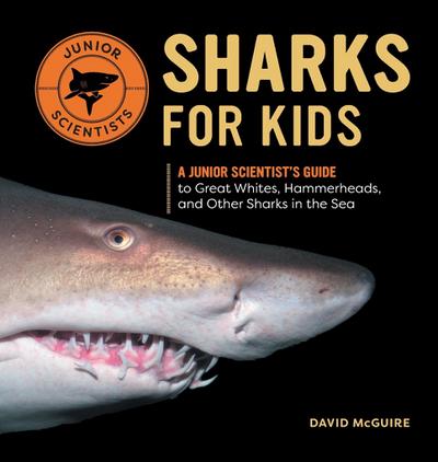 Sharks for Kids