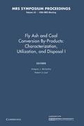 Fly Ash and Coal Conversion By-Products