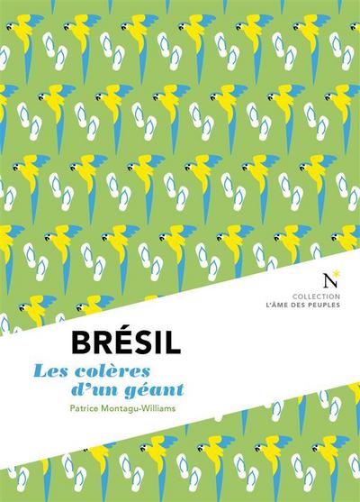 Brésil : Les colères d’un géant