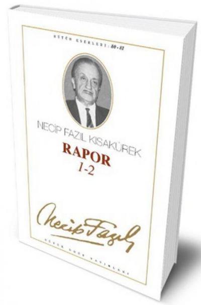 Rapor 12