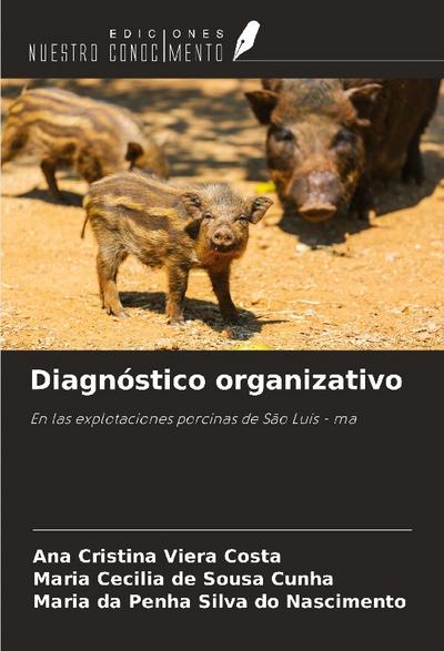 Diagnóstico organizativo