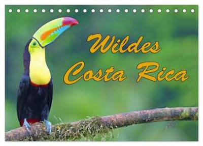 Wildes Costa Rica (Tischkalender 2026 DIN A5 quer), CALVENDO Monatskalender